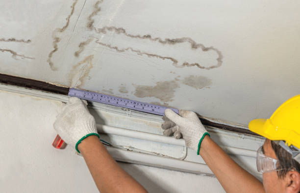 Reliable Sewage Cleanup contractor in Stoneham, CO by Water Damage Irwin